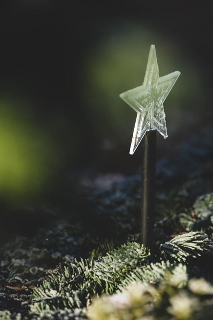 Free download star christmas star free picture to be edited with GIMP free online image editor