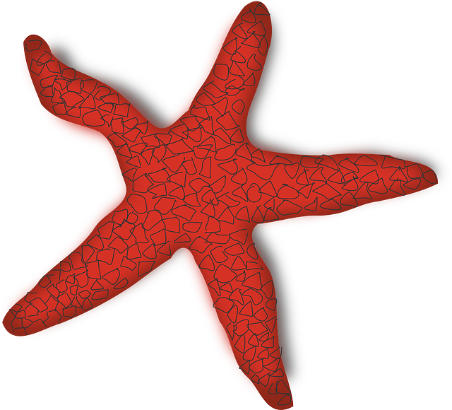 Free download Starfish Fish Sea - Free vector graphic on Pixabay free illustration to be edited with GIMP free online image editor