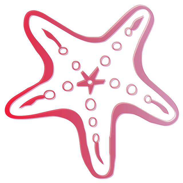 Free download Starfish Star Animal -  free illustration to be edited with GIMP free online image editor