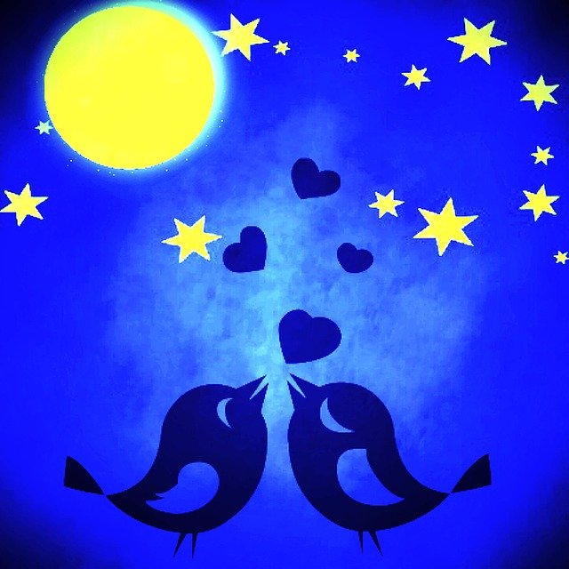 Free download Star Moon Birds -  free illustration to be edited with GIMP free online image editor