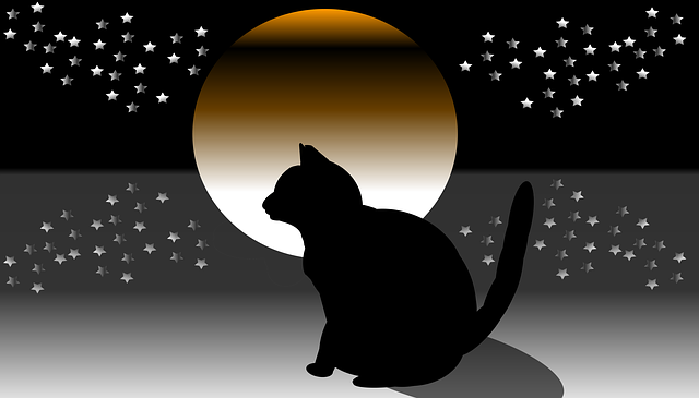 Free download Star Night Cat -  free illustration to be edited with GIMP free online image editor