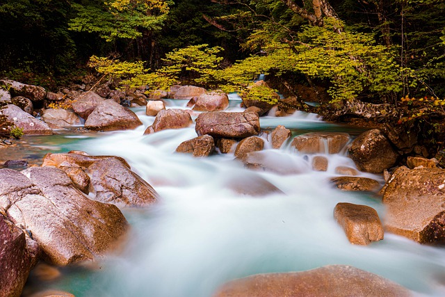 Free download stone forest nature stream tree free picture to be edited with GIMP free online image editor