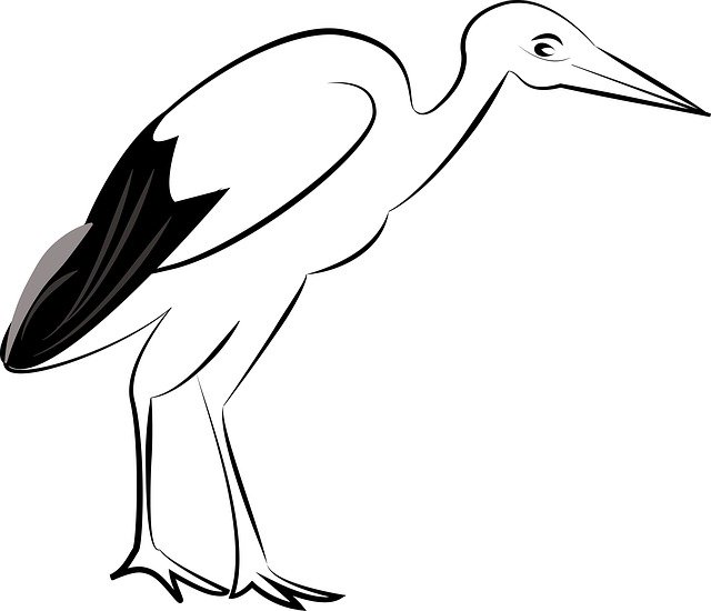 Free download Stork Bird Wild -  free illustration to be edited with GIMP free online image editor