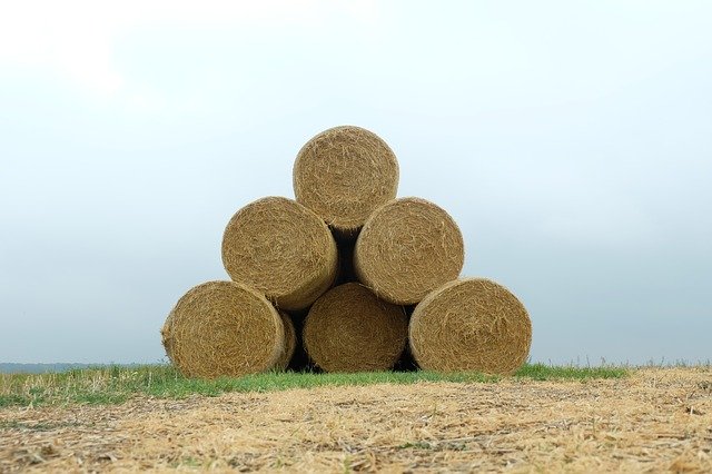 Free download Straw Bales Landscape Agriculture -  free photo or picture to be edited with GIMP online image editor