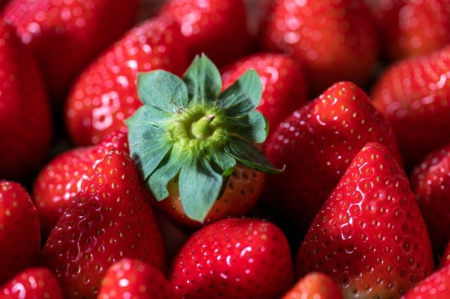 Free download strawberries fruit fresh vegan free picture to be edited with GIMP free online image editor