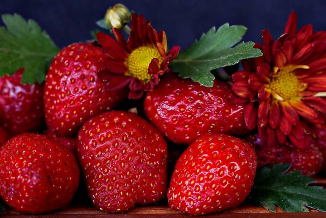 Free download strawberry fruit flower flora free picture to be edited with GIMP free online image editor