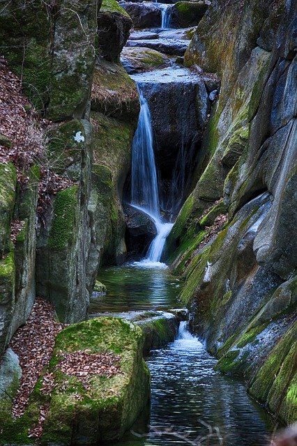 Free download Streams Nature The Creek -  free photo or picture to be edited with GIMP online image editor