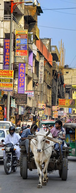 Free download street life street old delhi city free picture to be edited with GIMP free online image editor