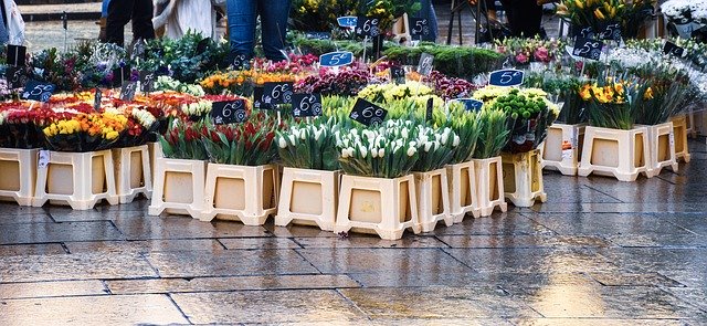 Free download Street Vendor Market Day -  free photo or picture to be edited with GIMP online image editor