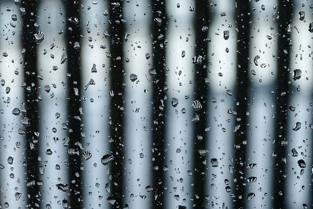 Free download striped strip rain drops free picture to be edited with GIMP free online image editor