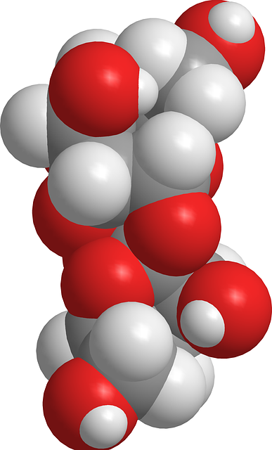 Free download Sucrose Disacaridos Organic -  free illustration to be edited with GIMP free online image editor