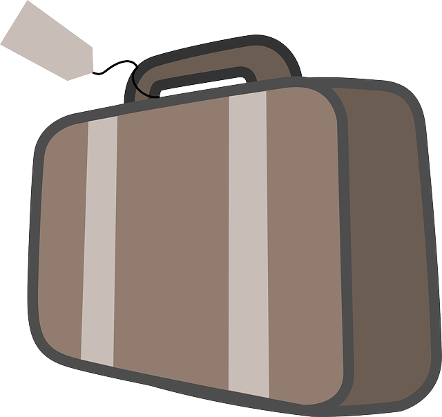 Free download Suitcase Bag Baggage - Free vector graphic on Pixabay free illustration to be edited with GIMP free online image editor