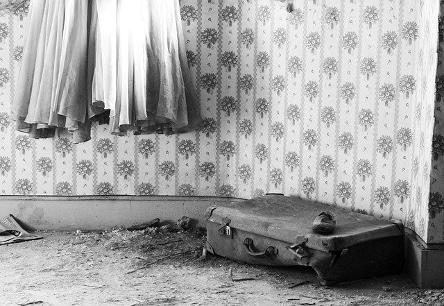 Free download Suitcase Dress Skirt -  free photo or picture to be edited with GIMP online image editor