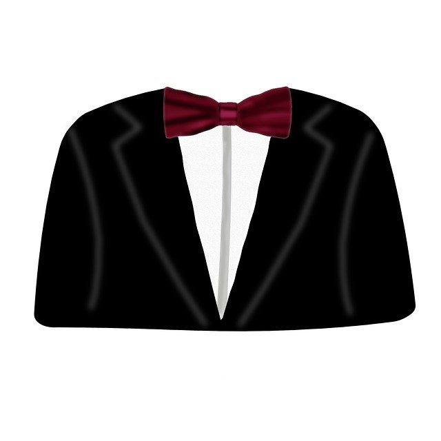 Free download Suit Shirt Fly -  free illustration to be edited with GIMP free online image editor