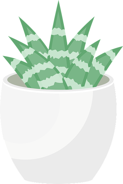 Free download Sukulent Flowerpot - Free vector graphic on Pixabay free illustration to be edited with GIMP free online image editor