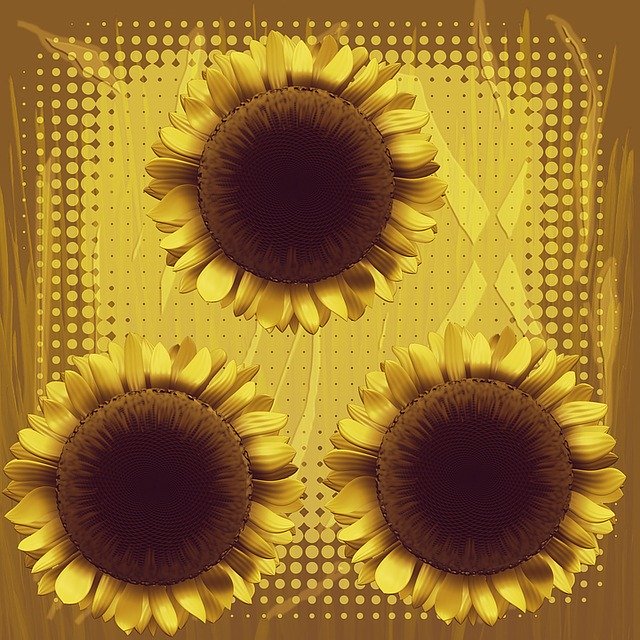 Free download Sunflower Background Yellow -  free illustration to be edited with GIMP free online image editor