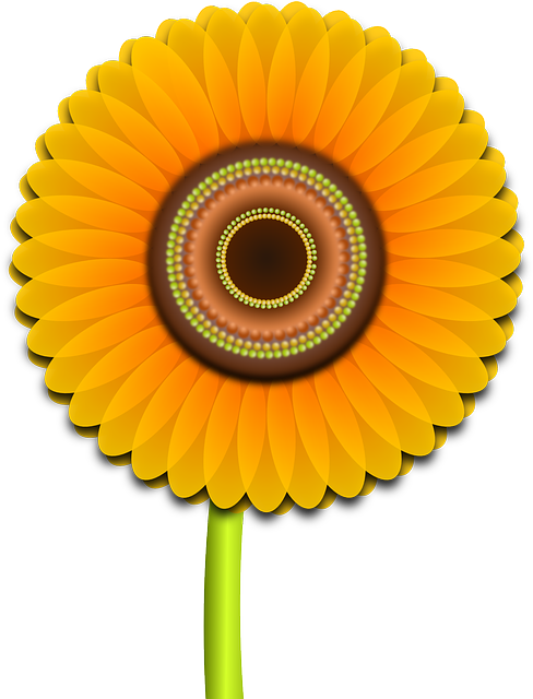 Free download Sunflower Flower Nature - Free vector graphic on Pixabay free illustration to be edited with GIMP free online image editor