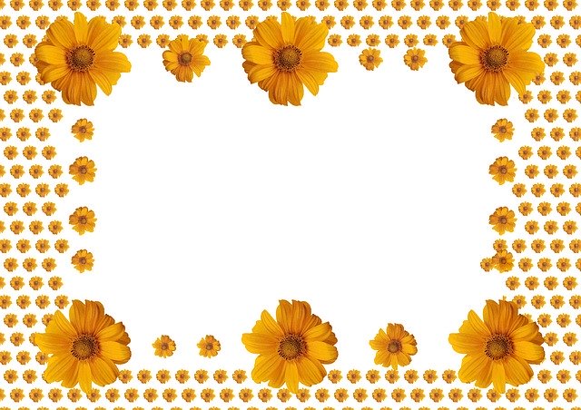 Free download Sunflower Photo Frame On -  free illustration to be edited with GIMP free online image editor