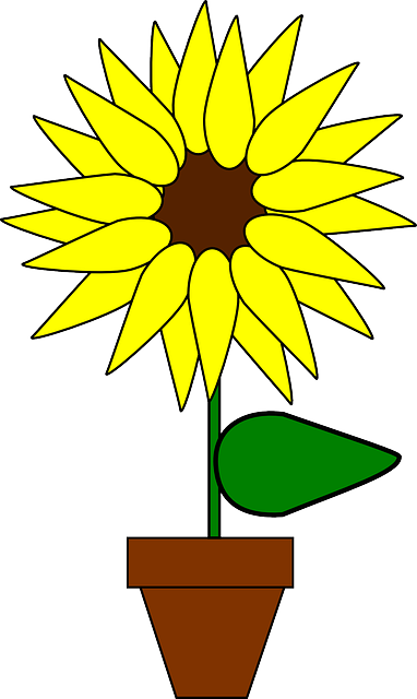 Free download Sunflower Potted Plant Flower - Free vector graphic on Pixabay free illustration to be edited with GIMP free online image editor