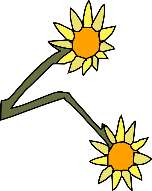 Free download Sunflowers Flowers Two - Free vector graphic on Pixabay free illustration to be edited with GIMP free online image editor