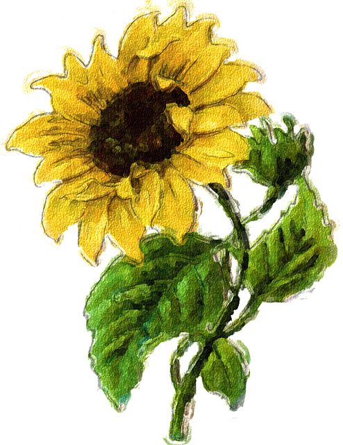 Free download Sunflower Summer Flower Fall -  free illustration to be edited with GIMP free online image editor