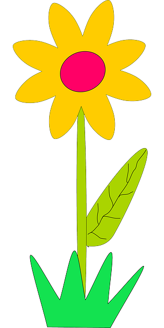 Free download Sunflower Sun Flower - Free vector graphic on Pixabay free illustration to be edited with GIMP free online image editor