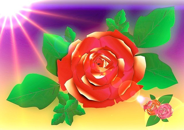 Free download Sun Light Roses -  free illustration to be edited with GIMP free online image editor