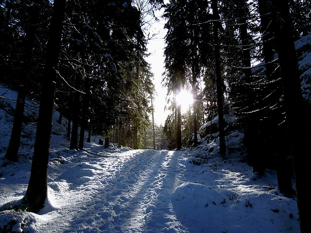 Free download sun path snow nature finland blue free picture to be edited with GIMP free online image editor