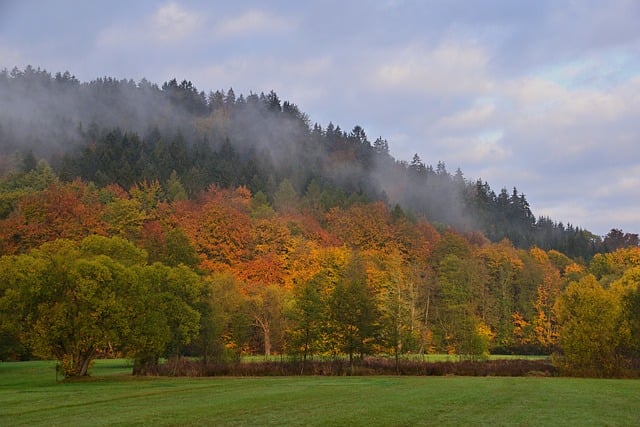 Free download sunrise fall fog landscape park free picture to be edited with GIMP free online image editor