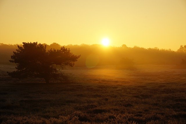 Free download Sunrise Heide -  free photo or picture to be edited with GIMP online image editor