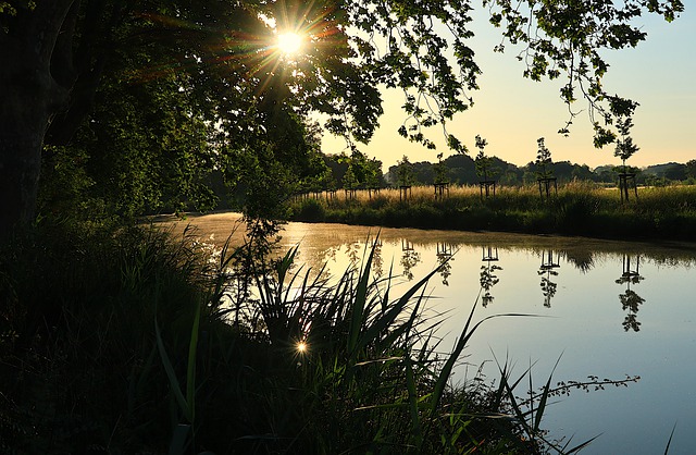 Free download sunrise morning canal du midi free picture to be edited with GIMP free online image editor