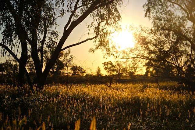 Free download Sunrise Outback Queensland -  free photo or picture to be edited with GIMP online image editor