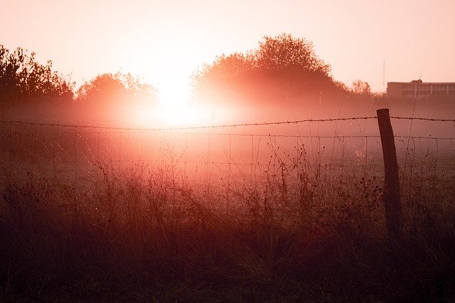 Free download Sunrise Sun Fog Morning -  free photo or picture to be edited with GIMP online image editor