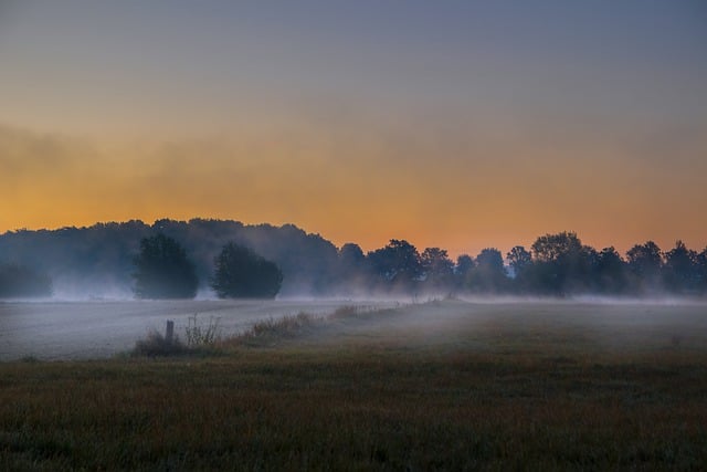 Free download sunrise trees fog sunlight free picture to be edited with GIMP free online image editor