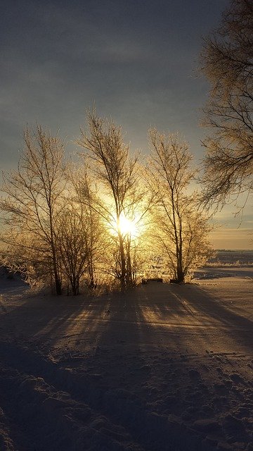 Free download Sunrise Trees Snow -  free photo or picture to be edited with GIMP online image editor