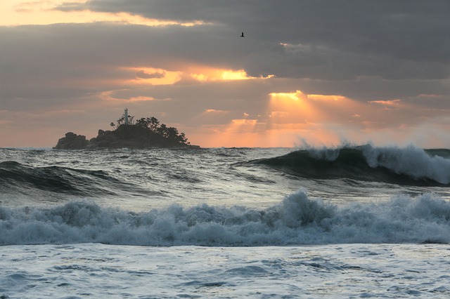 Free download sunrise waves island seagull free picture to be edited with GIMP free online image editor