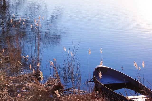 Free download sunset autumn tree rowing boat free picture to be edited with GIMP free online image editor