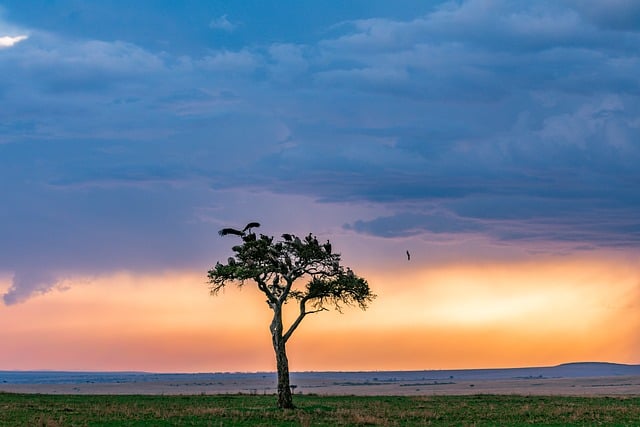 Free download sunset field game reserve rain free picture to be edited with GIMP free online image editor