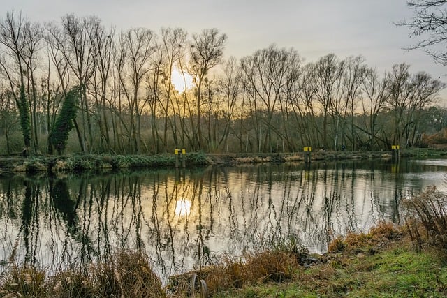 Free download sunset forest reflection water free picture to be edited with GIMP free online image editor