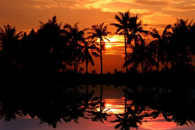 Free download Sunset Landscape Of Ca Mau Beauty -  free free photo or picture to be edited with GIMP online image editor