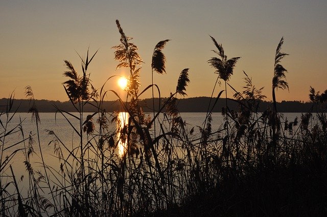 Free download Sunset Marsh Landscape -  free photo or picture to be edited with GIMP online image editor