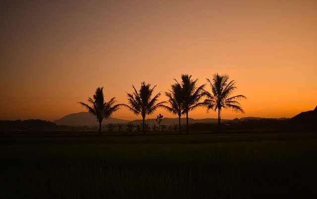 Free download Sunset Silhouette Landscape -  free photo or picture to be edited with GIMP online image editor