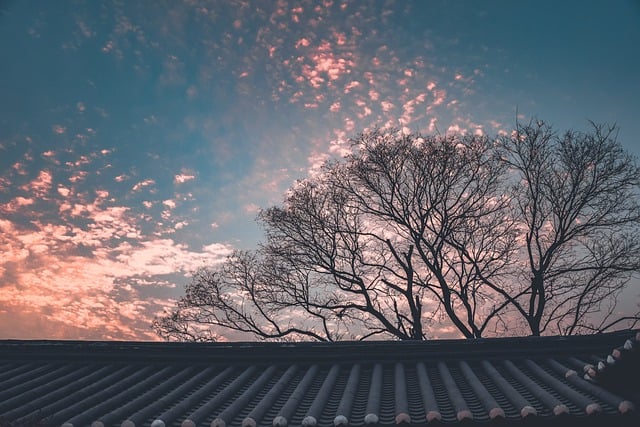 Free download sunset sky clouds nature evening free picture to be edited with GIMP free online image editor