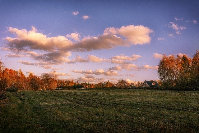 Free download Sunset Sky Grass -  free free photo or picture to be edited with GIMP online image editor