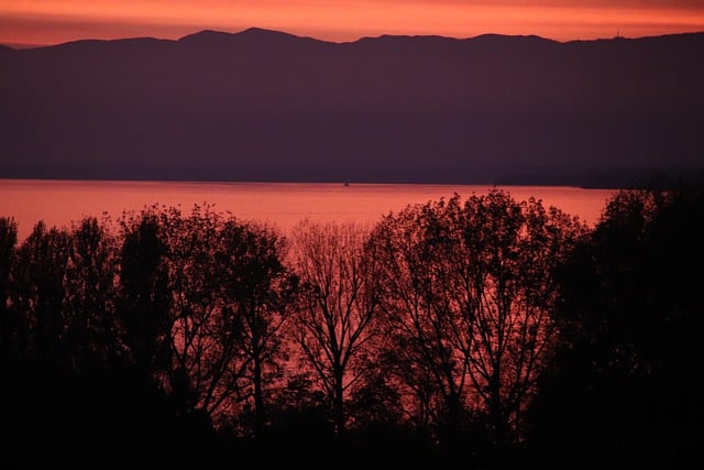 Free download sunset trees lake silhouette free picture to be edited with GIMP free online image editor