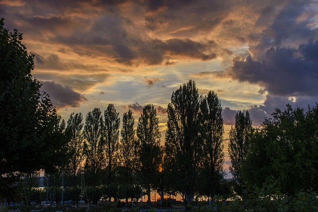 Free download sunset trees silhouette lake free picture to be edited with GIMP free online image editor