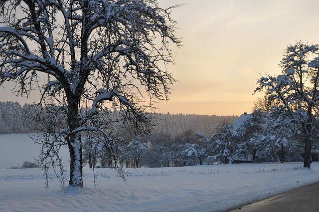 Free download Sunset Tree Wintry Black -  free photo or picture to be edited with GIMP online image editor