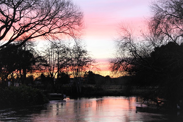 Free download sunset water trees glow pink free picture to be edited with GIMP free online image editor