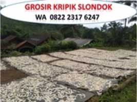 Free download Supplier Harga Slondok Per Kilo Jakarta, TLP. 0822 2317 6247 free photo or picture to be edited with GIMP online image editor