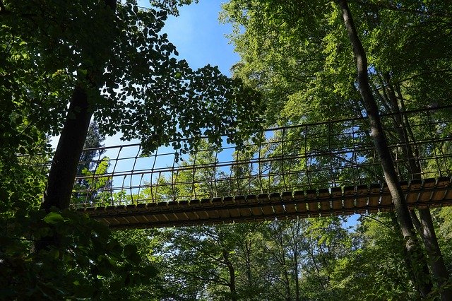 Free download Suspension Bridge Forest Trees -  free photo or picture to be edited with GIMP online image editor